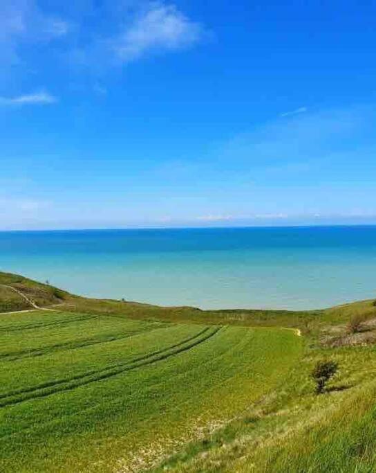 Pleine Face Mer Et Plage 奥尔特 外观 照片
